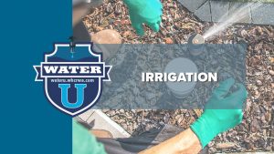 Irrigation - Learn about irrigation